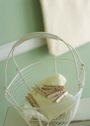 【徹底解説】広島で効果的なネズミ駆除と防除対策｜安心して任せられる専門サービスの選び方